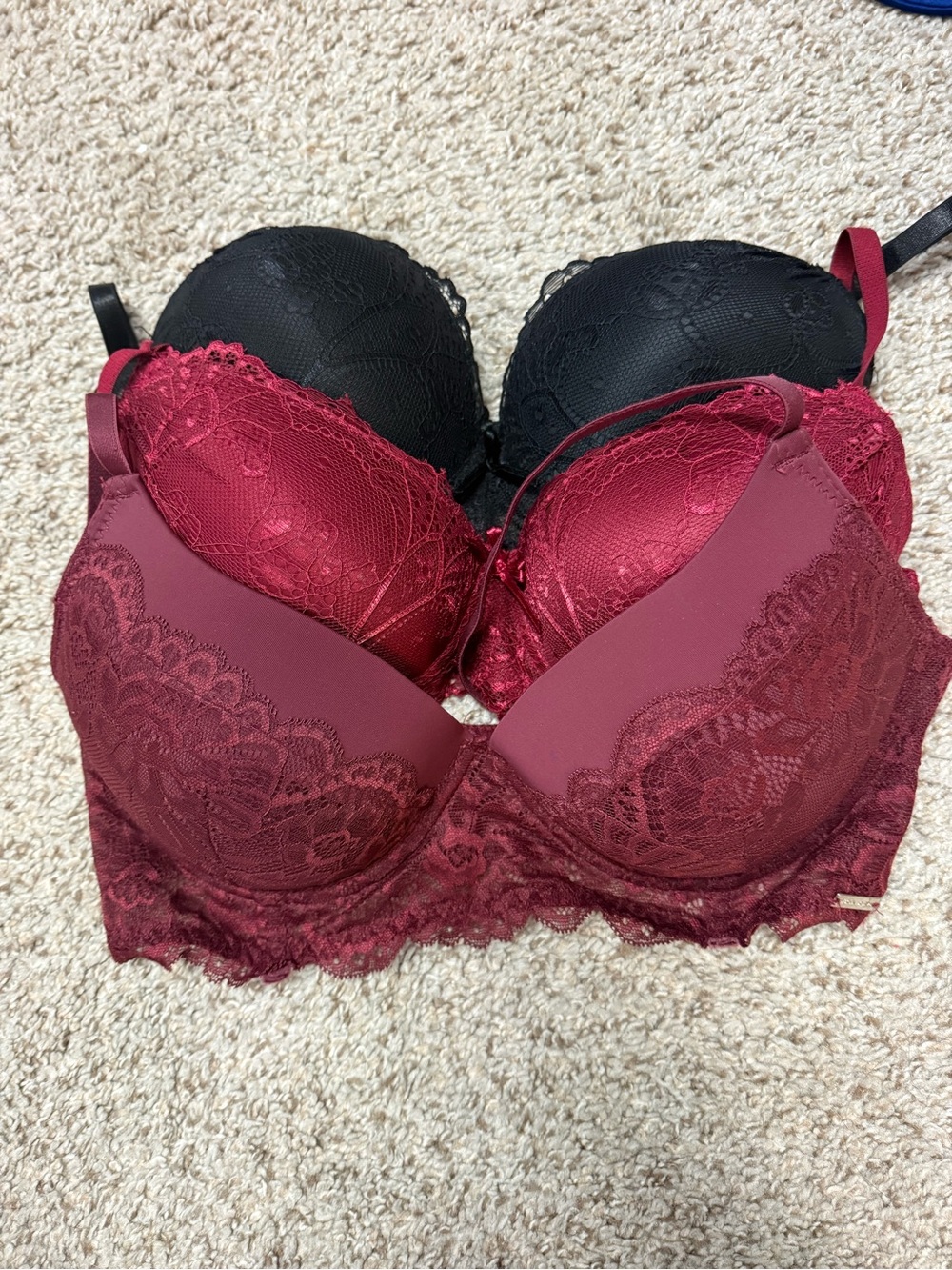 Tahari Lace Push-Up Bras bundle - 36C